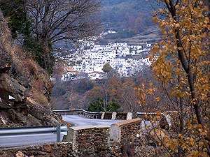pampaneira