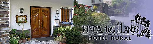 hotel los llanos