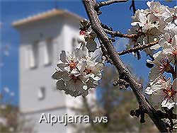 casas alpujarra